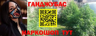 гашик Лесосибирск