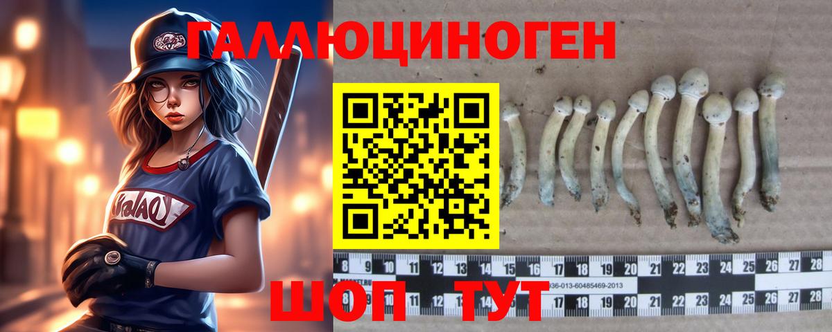Галлюциногенные грибы мицелий  Вход с VPN  Избербаш 