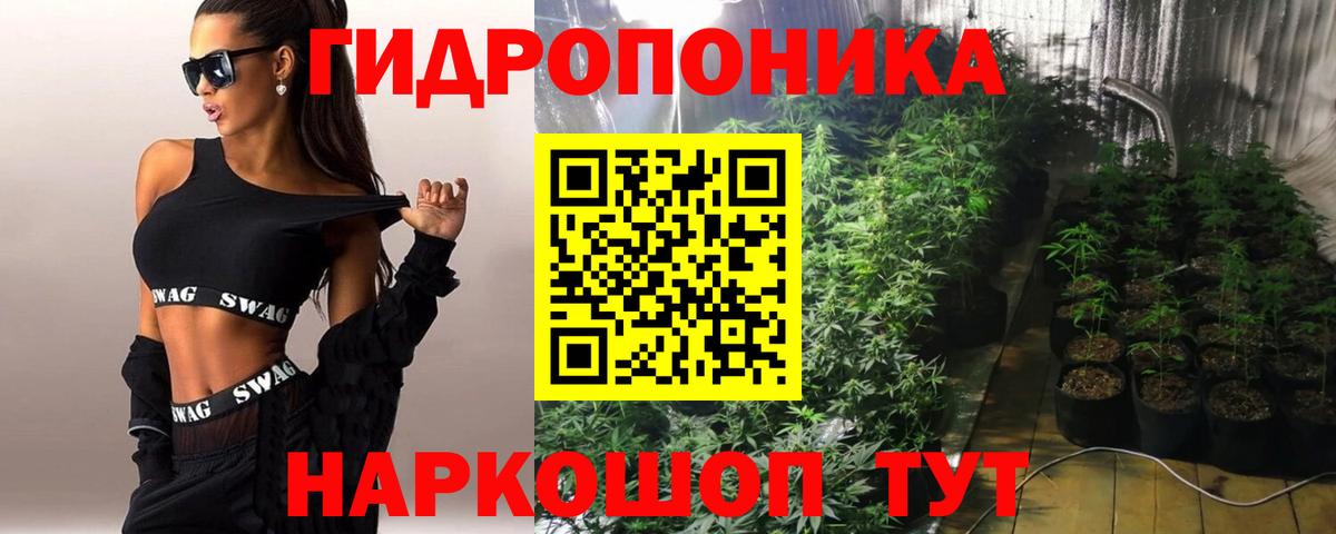 Конопля конопля Избербаш